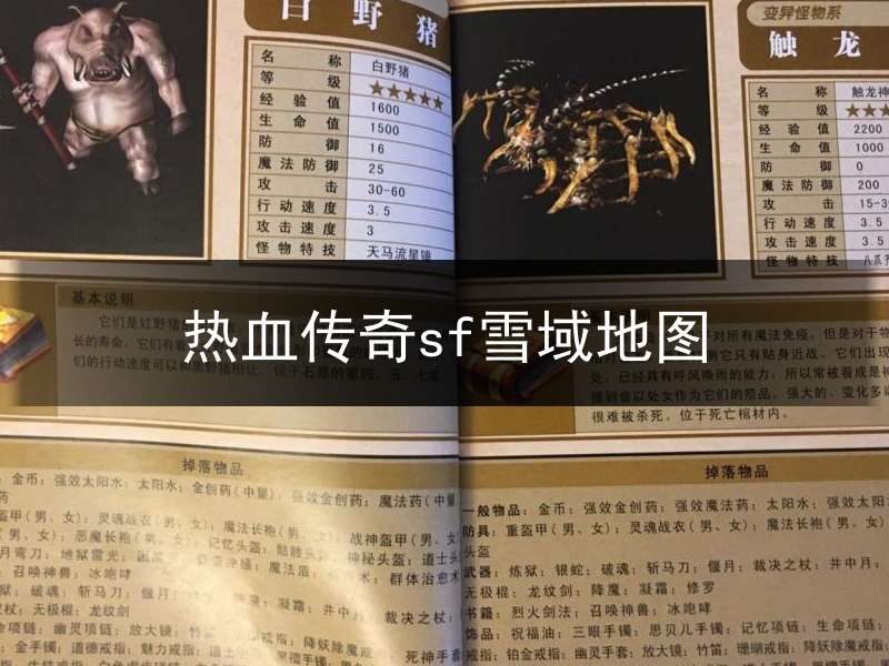 热血传奇sf雪域地图(热血传奇雪域怪物图鉴)
